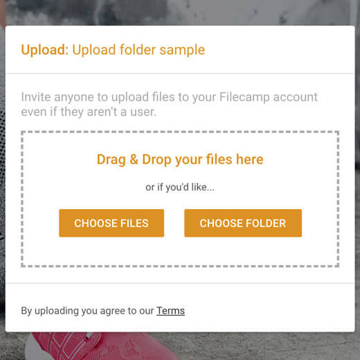 Request file links